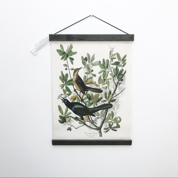Curious Prints Other - Canvas Pull Down Chart - Vintage Botanicals Birds